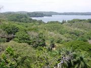 Panama Image 4