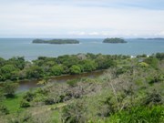 Panama Image 5